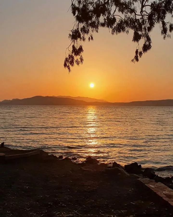 Zeytin Cicegi Evleri Villa Marmaris Holiday home
